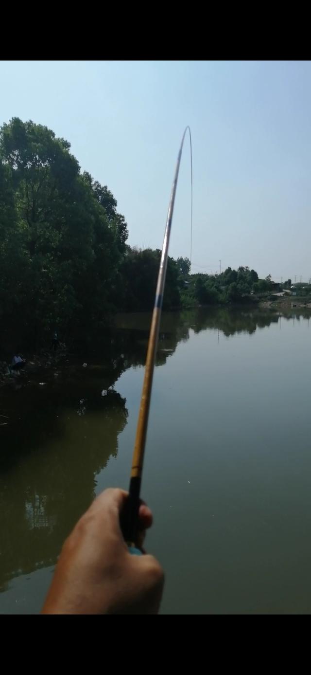 新手野钓鲫鱼技巧(如何更好的野钓鲫鱼)(12)