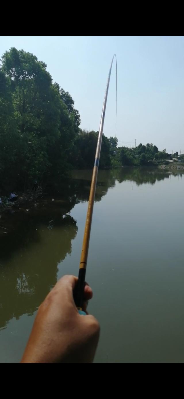 新手野钓鲫鱼技巧(如何更好的野钓鲫鱼)(2)