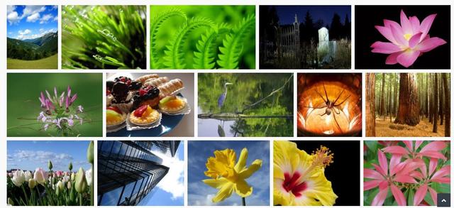 好用的高清图库哪个好（推荐8个免费高质量的图库网站）(15)