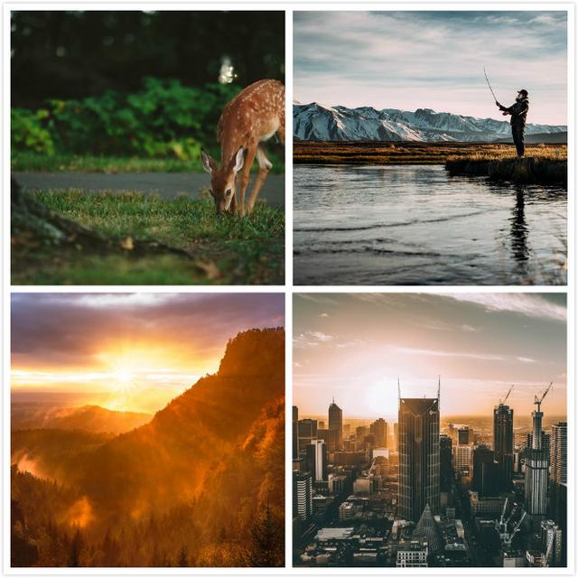 好用的高清图库哪个好（推荐8个免费高质量的图库网站）(4)