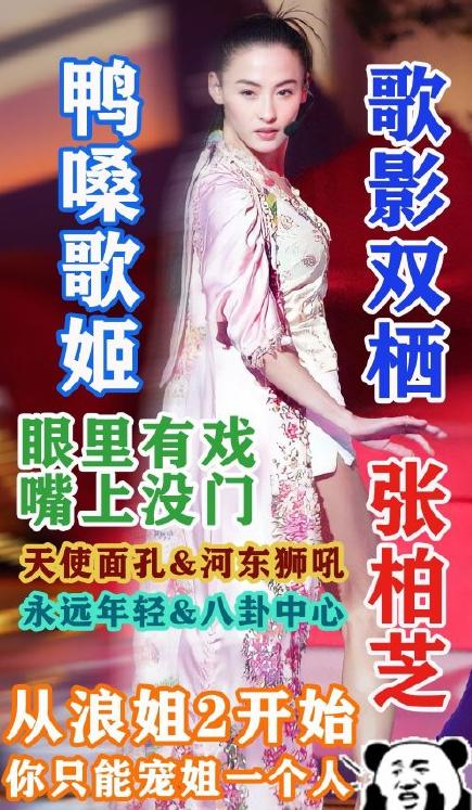 浪姐2全体阵容官宣海报(浪姐2官宣阵容唱跳双废)(17)