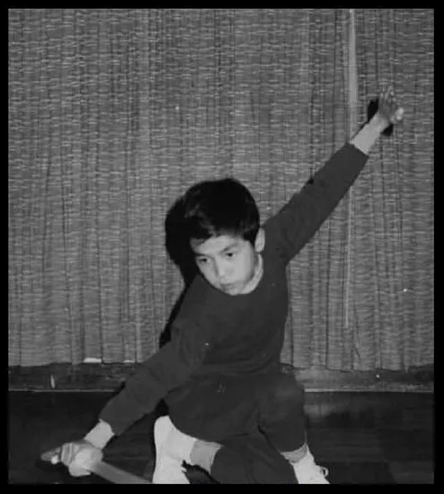 甄子丹曾为她抛妻弃子万绮雯(甄子丹给前妻抚养费)(6)