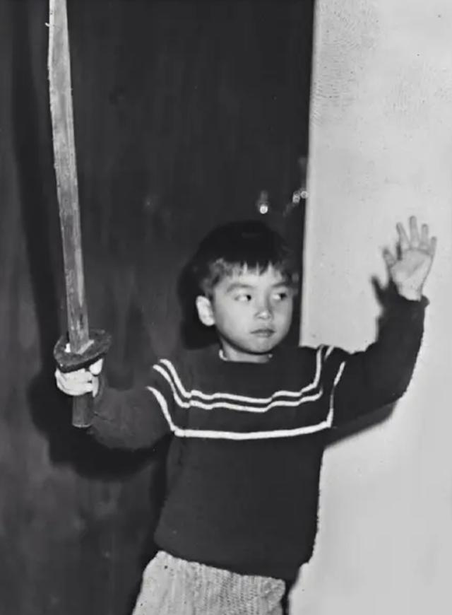 甄子丹曾为她抛妻弃子万绮雯(甄子丹给前妻抚养费)(5)