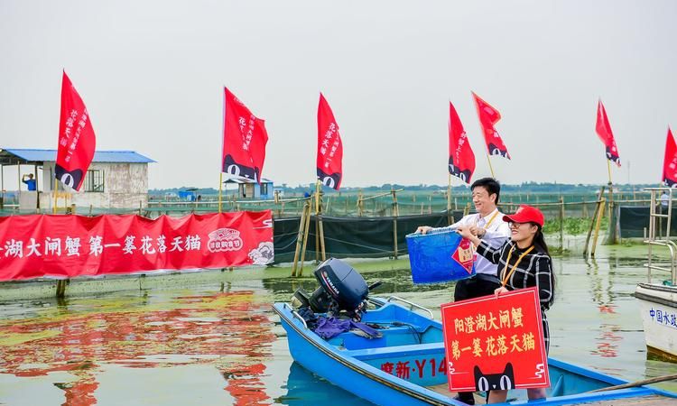 阳澄湖大闸蟹开湖时间