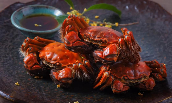 阳澄湖大闸蟹什么时候开湖上市,阳澄湖大闸蟹开湖时间图2