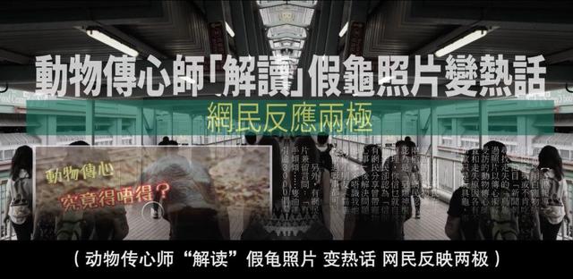 必看十部经典港剧（你还是低估了港剧）(28)