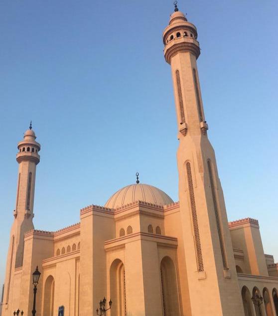 太平洋的岛屿国家（小岛屿国家）(13)