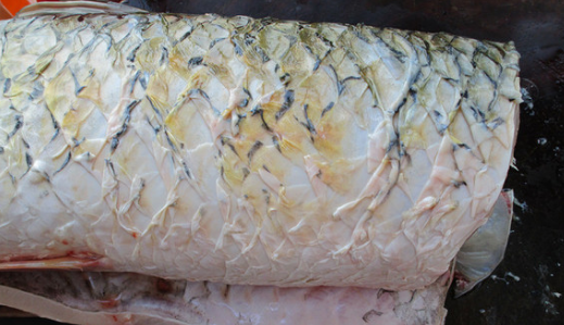 酸菜鱼的做法和步骤图,酸菜鱼的做法和步骤视频图34