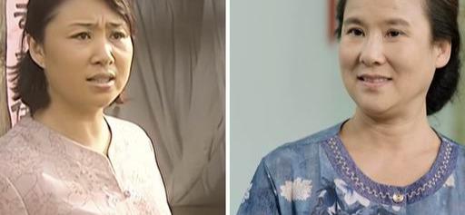 乡村爱情第一部人物简介(乡村爱情第1部和第12部)(5)