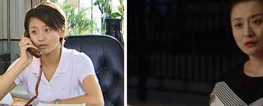 乡村爱情第一部人物简介(乡村爱情第1部和第12部)(11)