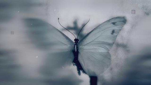 琅琊榜卫峥怎么被救出来的(琅琊榜卫峥被捕)(1)