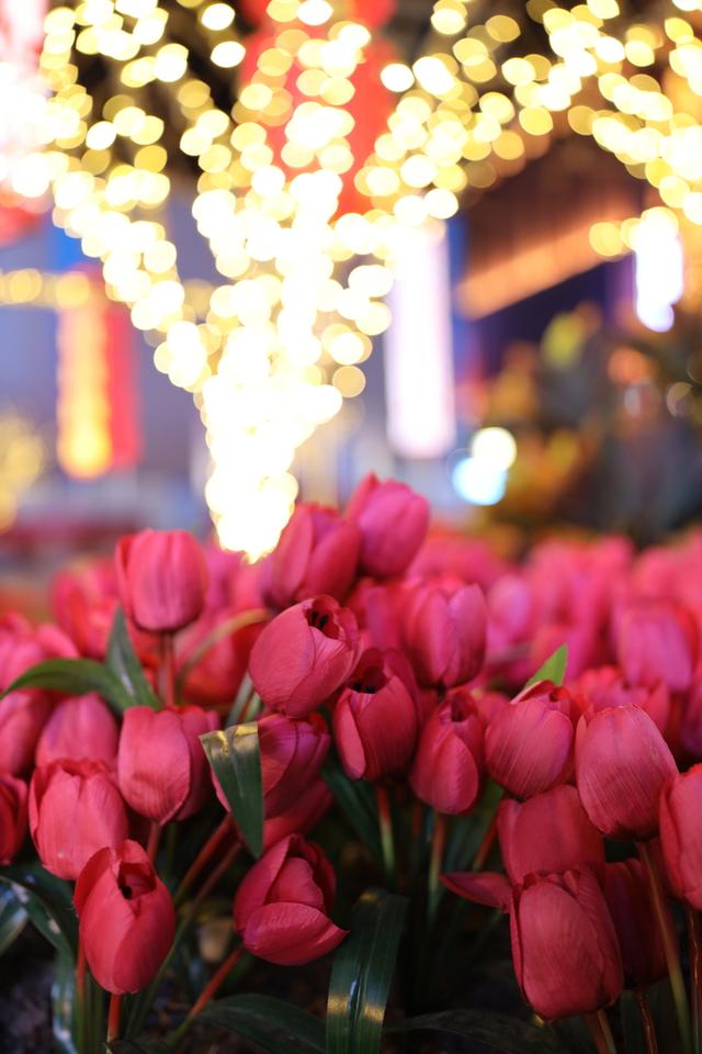 适马35mm1.4镜头测评(利刃般全能镜头)(14)