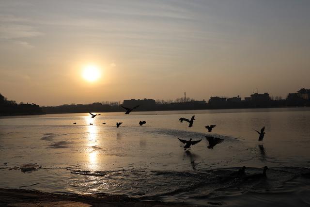 适马35mm1.4镜头测评(利刃般全能镜头)(23)