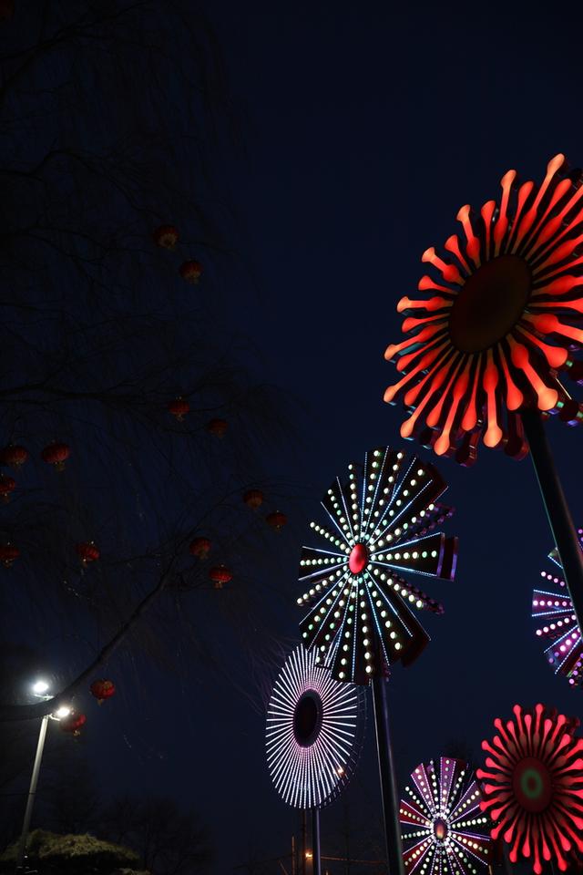 适马35mm1.4镜头测评(利刃般全能镜头)(47)