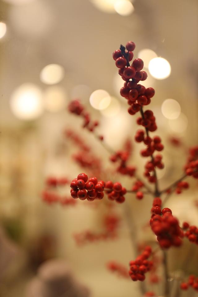 适马35mm1.4镜头测评(利刃般全能镜头)(12)