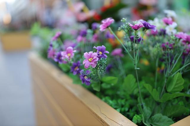 适马35mm1.4镜头测评(利刃般全能镜头)(46)