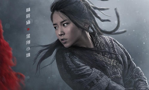 林辰涵个人资料