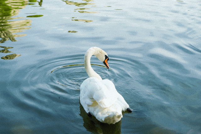 富士相机各系列介绍(从X100到GFX100S富士相机的10年进化史)(17)