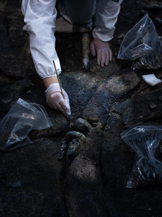 三星堆考古的最新发现及意义(三星堆考古背后)(2)