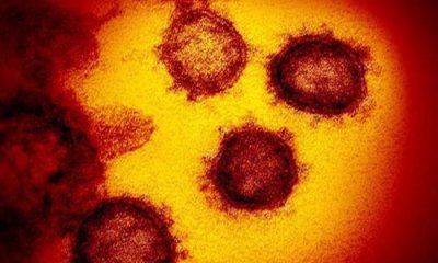 ​冠状病毒致命弱点是什么 为什么新冠病毒这么可怕