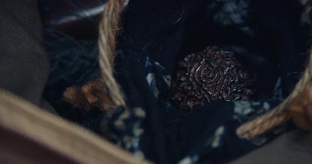 云南虫谷雮尘珠在哪找到了(云南虫谷大结局)(3)