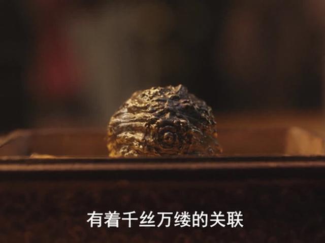 云南虫谷雮尘珠在哪找到了(云南虫谷大结局)(4)