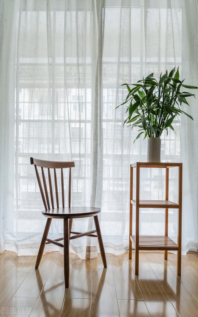 适合水培又好养的植物（这些植物都可水培）(8)