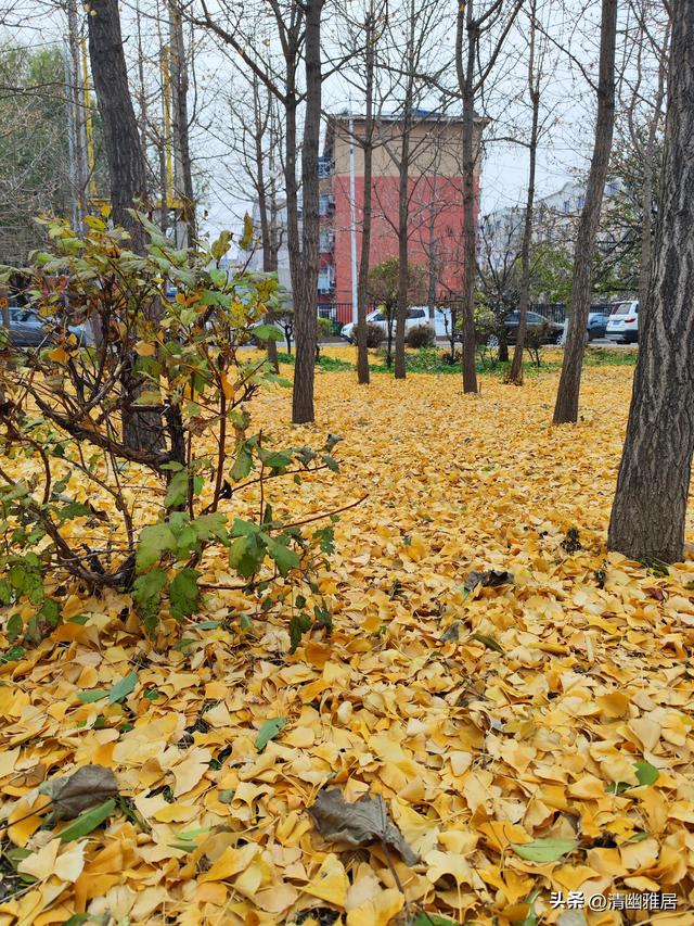 立冬问候语温暖人生(早安晨语立冬来临寒意浓)(3)