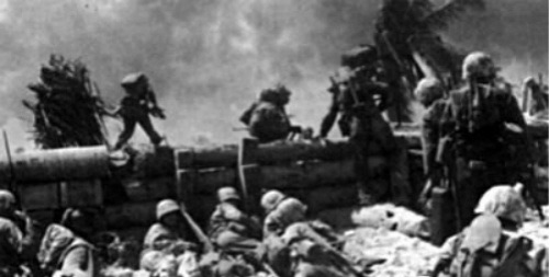 网络图片(侵删)