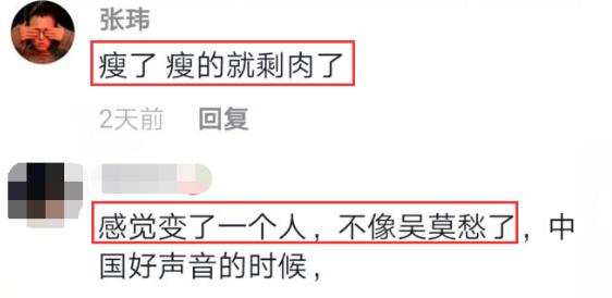 吴莫愁13年收入(从1.3亿广告费到街边商演)(2)