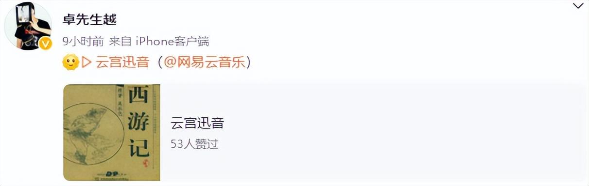 周迅和陈坤关系多好(周迅48岁生日依然如)(6)