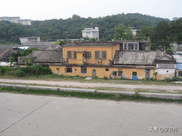 163师老兵（我在163师的那些年）(22)