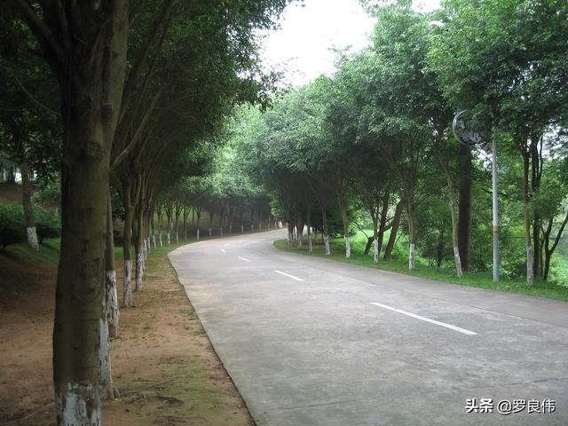 163师老兵（我在163师的那些年）(14)