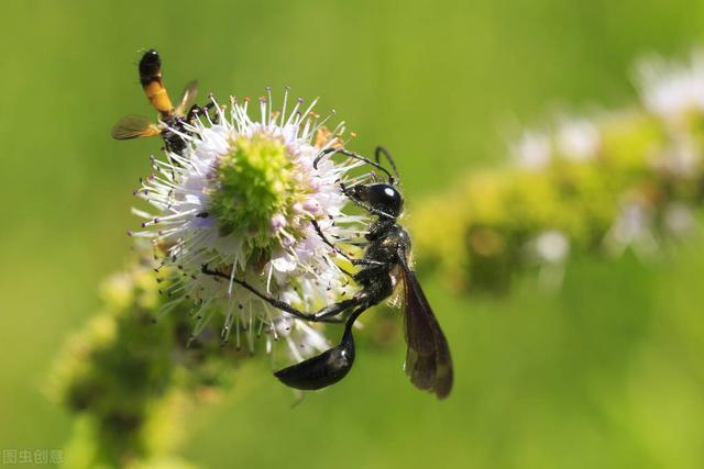 四年级下册语文日积月累完整版（四年级下册语文日积月累整理汇总）(3)