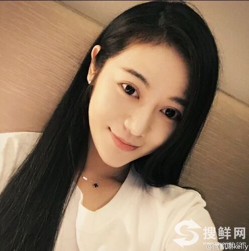 向凯琳个人资料微博身高背景 普法栏目剧向凯琳kelly曾上非常完美