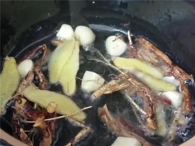 五指毛桃煲鸡正确做法(香气扑鼻的五指毛桃炖鸡)(6)