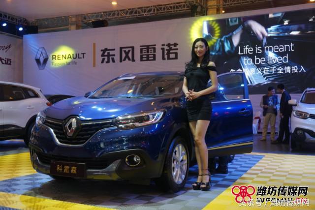 潍坊金宝车展2022年3月(潍坊金宝车展开幕)(5)