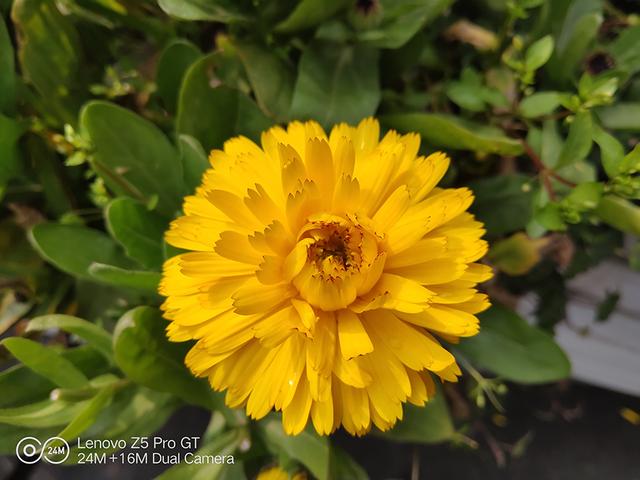 联想z5pro855版上手体验(时尚兼具实用的骁龙855手机)(25)