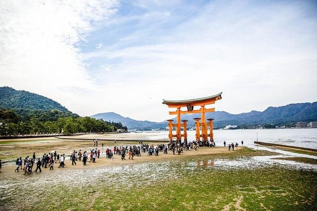 广岛长崎核弹爆炸范围(核武器爆炸后对人体会有哪些危害)(8)