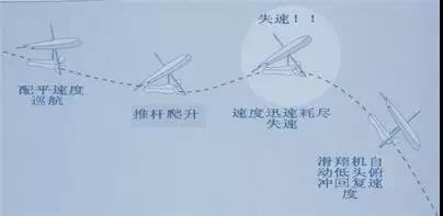 动力三角翼左右飞行（无动力三角翼的飞行原理）(4)