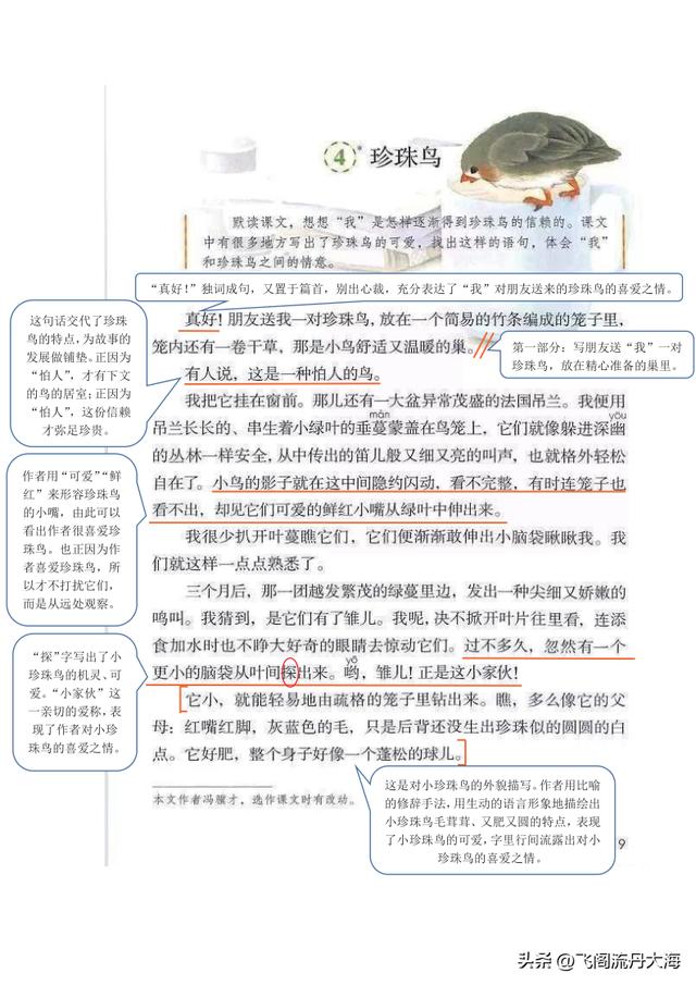语文五年级上册珍珠鸟笔记（小学五年级上语文4课珍珠鸟课堂笔记）(2)