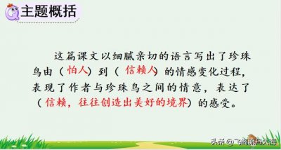 ​语文五年级上册珍珠鸟笔记（小学五年级上语文4课珍珠鸟课堂笔记）