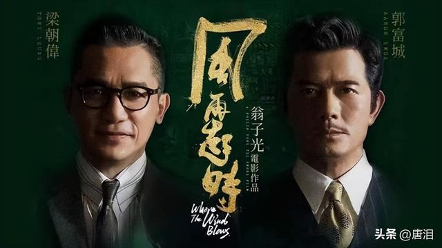 年度十大港产片票房排行榜(港影最后的巨星)(5)