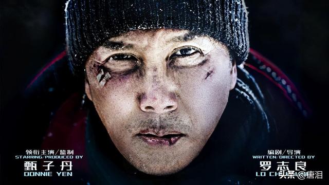 年度十大港产片票房排行榜(港影最后的巨星)(6)