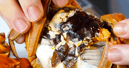 秋天真美到处都是五颜六色的叶子(带你领略张家港最美的秋天)(3)