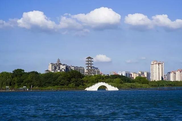 秋天真美到处都是五颜六色的叶子(带你领略张家港最美的秋天)(6)