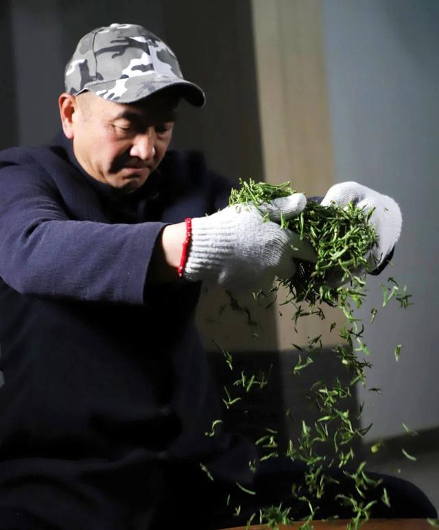 常州溧阳天目湖白茶好茶的特点（天目出好茶高山野茶香）(6)