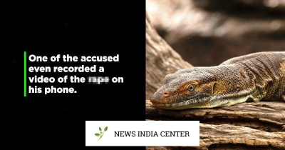 ​印度巨蜥事件视频事件怎么回事 印度孟加拉巨蜥视频事件令人惊讶