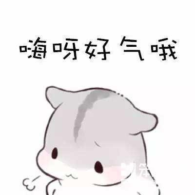 网易狼人杀正式版和测试版(网易狼人杀官方公测)(1)