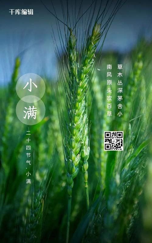 描写节气的句子有哪些